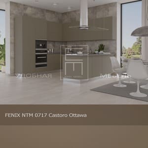 FENIX NTM 0717 Castoro Ottawa